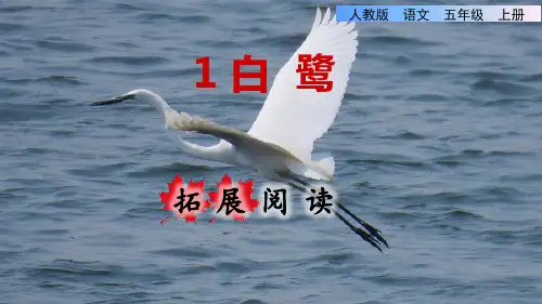 部编版五年级语文上册第一单元《拓展阅读》教学课件
