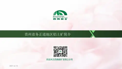 贵州务正道地区铝土矿简介