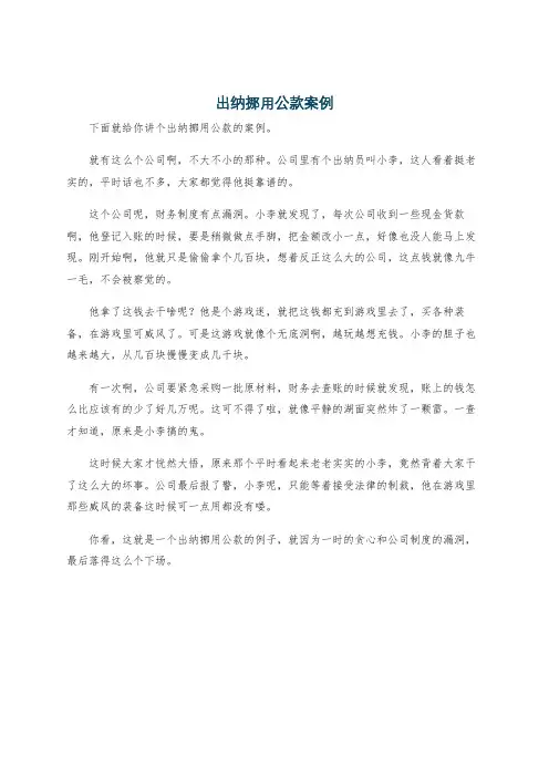 出纳挪用公款案例