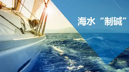 《海水“制碱”》海水中的化学PPT