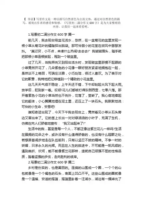 写景初二满分作文600字