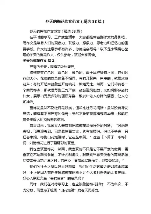 冬天的梅花作文范文（精选38篇）