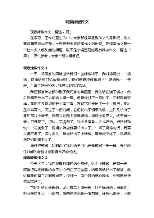 观察辣椒作文