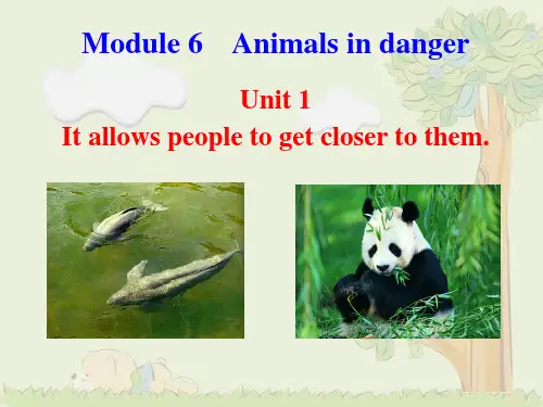 八年级英语(外研版)上册教学课件：Module6 Unit1 (共35张PPT)