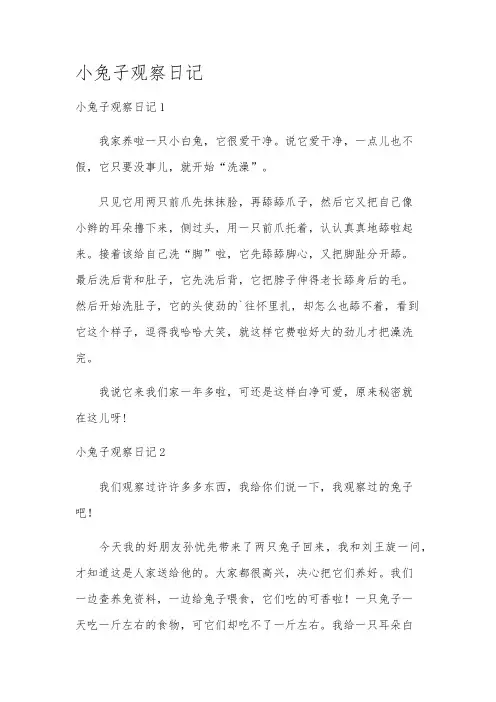 小兔子观察日记