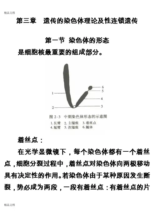 (整理)第三章+遗传的染色体理论及性连锁遗传