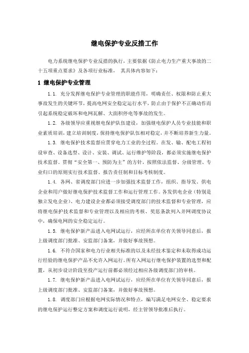 继电保护专业反措工作