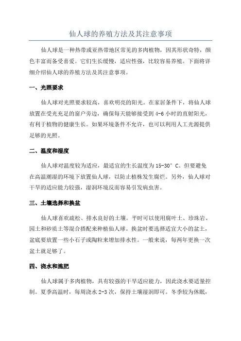 仙人球的养殖方法及其注意事项