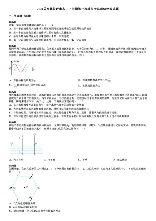 2024届西藏拉萨市高三下学期第一次模拟考试理综物理试题