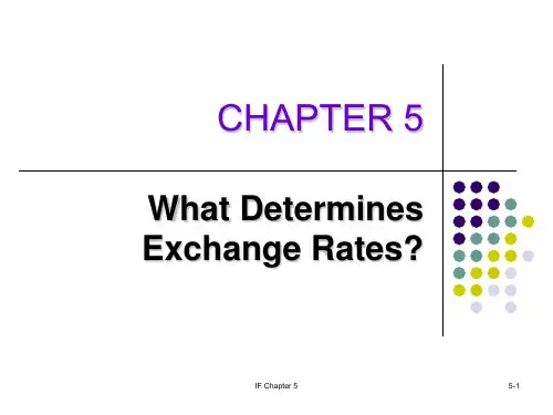 国际金融英文CHAPTER 5