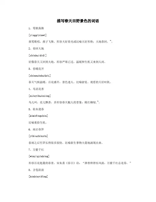 描写春天田野景色的词语