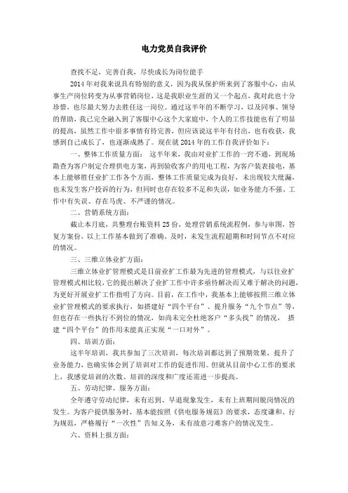 电力党员自我评价