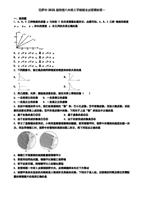 拉萨市2021届物理八年级上学期期末试卷模拟卷一