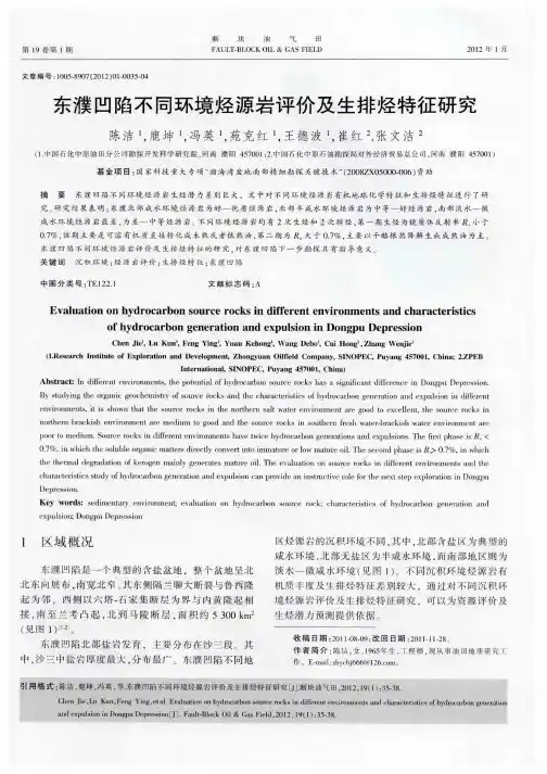 东濮凹陷不同环境烃源岩评价及生排烃特征研究