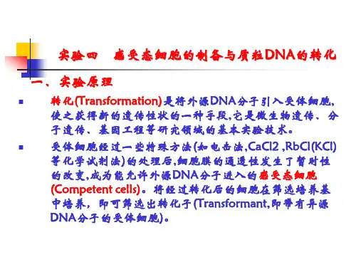 转化(Transformation)是将外源DNA分子引入受体细胞