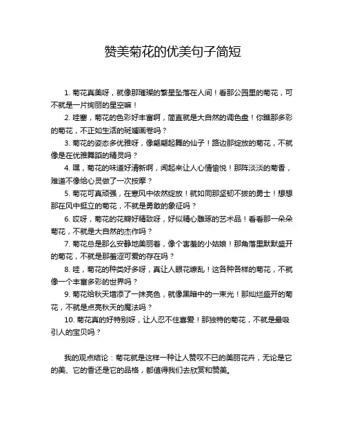 赞美菊花的优美句子简短