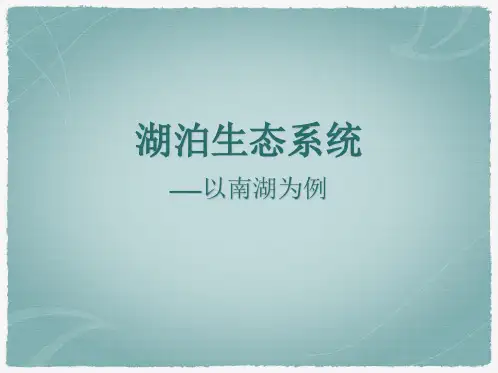 湖泊生态系统-以长春南湖生态系统为例
