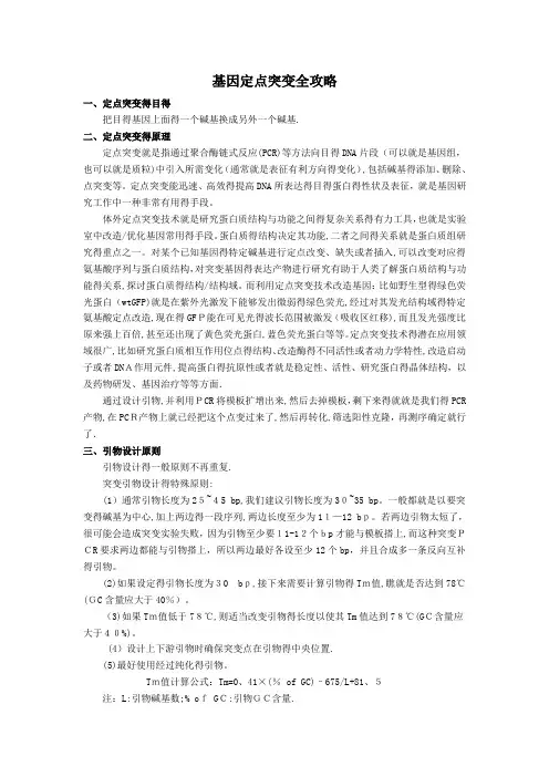 基因定点突变全攻略
