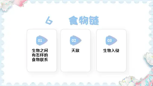 6  食物链(课件)-2024-2025学年人教鄂教版科学六年级上册