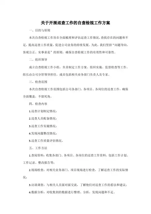 关于开展巡查工作的自查检视工作方案