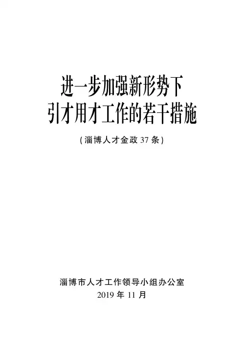 人才金政37条