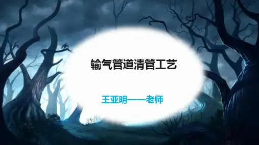管道清管工艺—王亚明