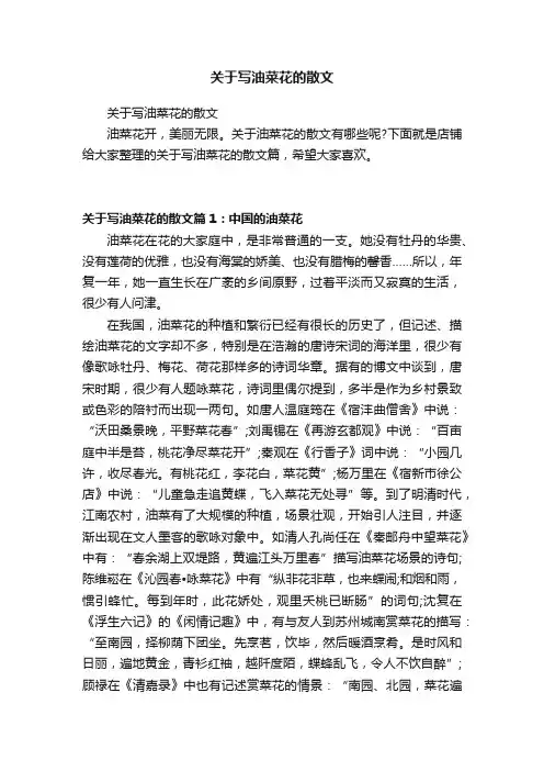 关于写油菜花的散文