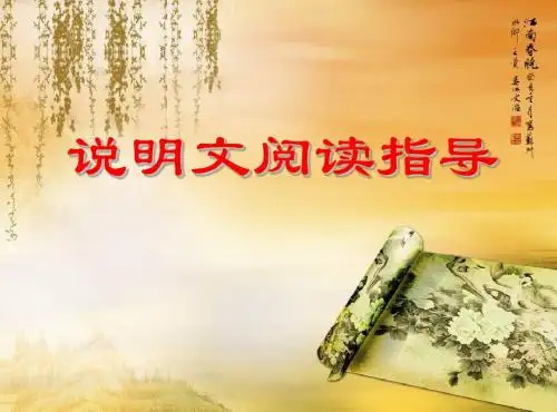说明文阅读指导12.12