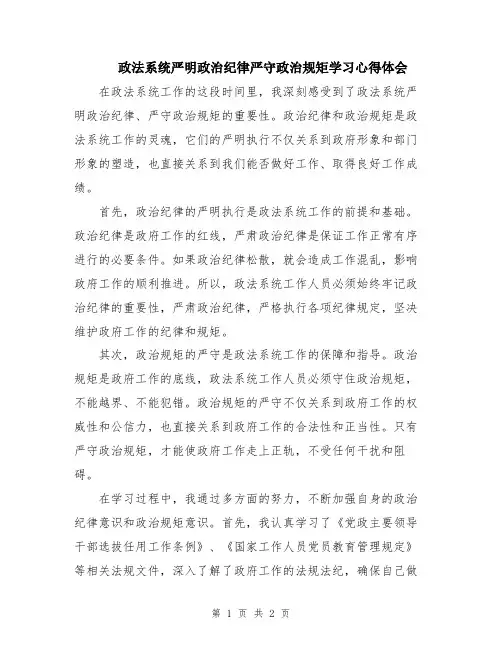 政法系统严明政治纪律严守政治规矩学习心得体会
