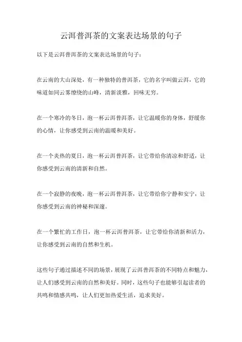 云洱普洱茶的文案表达场景的句子