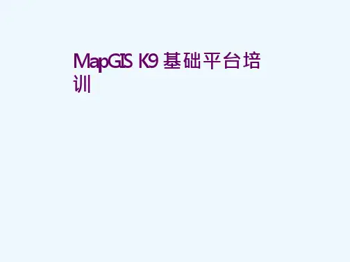MapGIS_K9培训(数据分析)