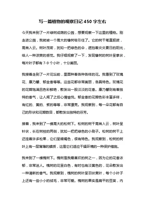 写一篇植物的观察日记450字左右