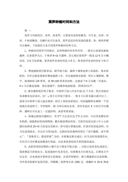 窝笋种植时间和方法