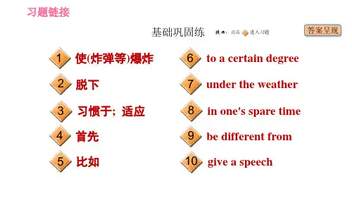 牛津深圳版九年级下册英语课件Unit2课时2ReadingII