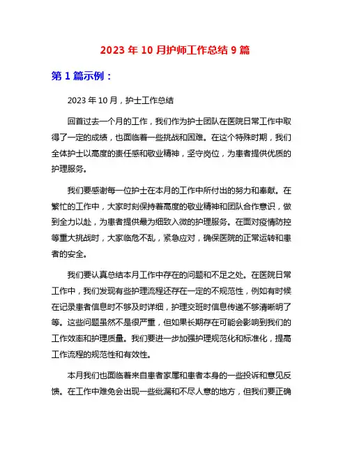 2023年10月护师工作总结9篇