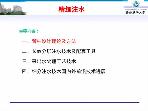 精细注水PPT1讲解