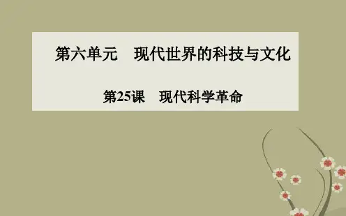 高中历史 第25课 现代科学革命配套课件 岳麓版必修3