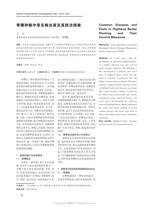青稞种植中常见病虫害及其防治措施