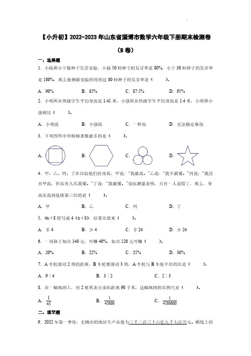 【小升初】2022-2023学年山东省淄博市数学六年级下册期末检测卷(B卷)含解析