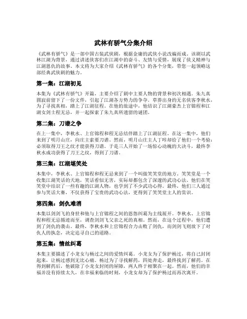 武林有骄气分集介绍