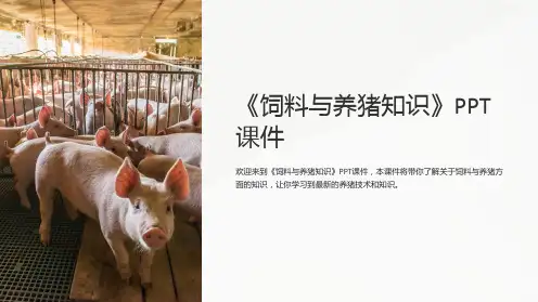 《饲料与养猪知识》课件