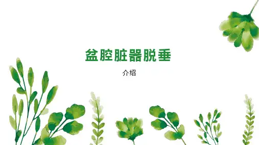 盆腔脏器脱垂