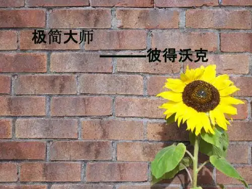彼得沃克