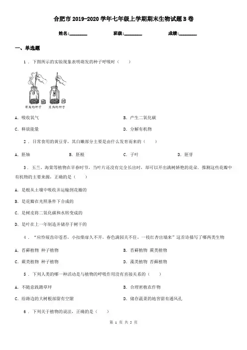 合肥市2019-2020学年七年级上学期期末生物试题B卷-1