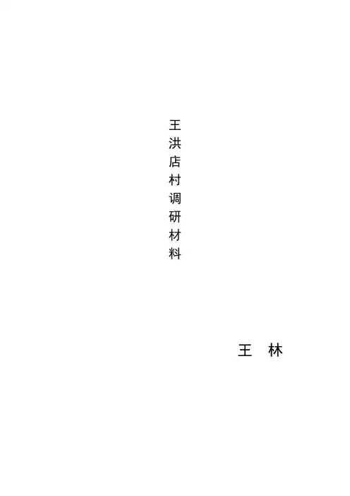 王洪店调研材料