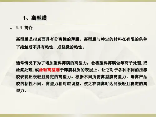 涂布产品-离型膜