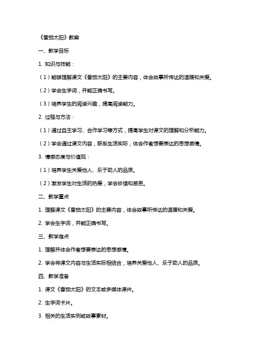 《番茄太阳》教案