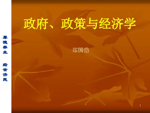 政府、政策与经济学(11)幻灯片PPT