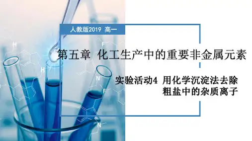 实验活动4  用化学沉淀法去除粗盐中的杂质离子(课件)高一化学(人教版2019必修第二册)