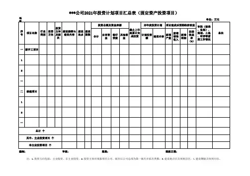 年度投资计划项目汇总表(模板)